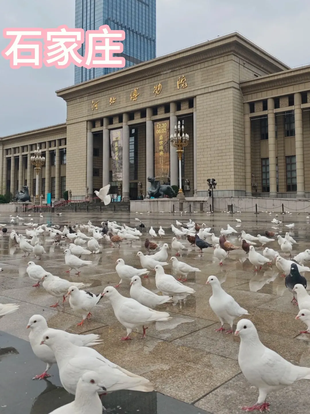 被低估的宝藏地 邯郸响堂山景区探秘🤩