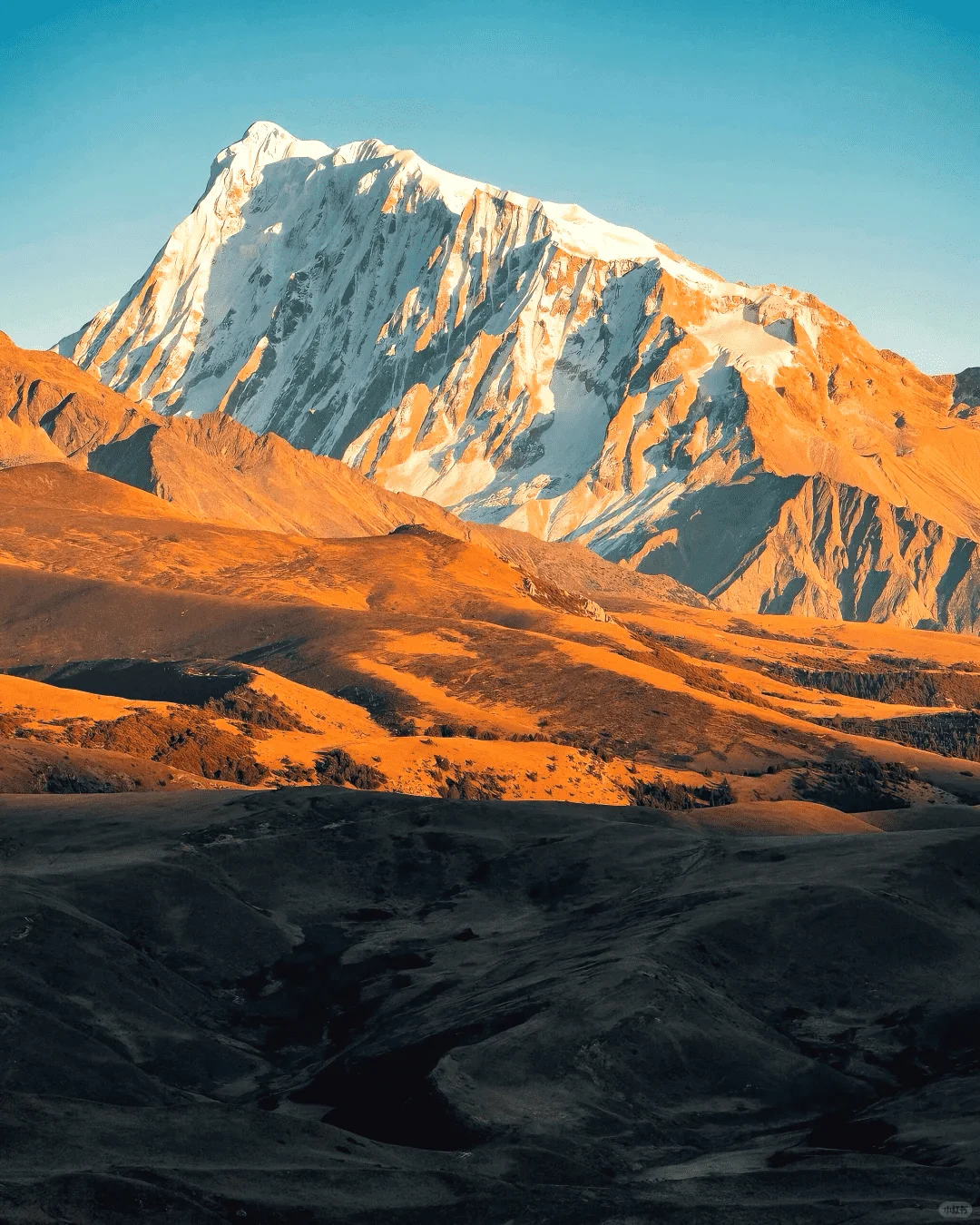 这里不是新疆！是川西顶级秘境—格聂