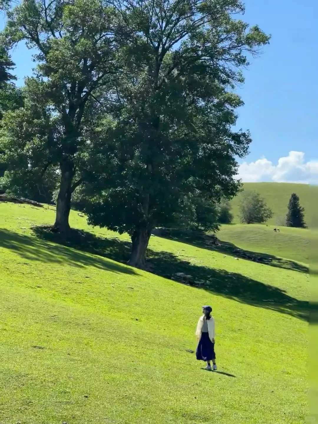 淡季的内蒙古真的是人生必去之地。。。