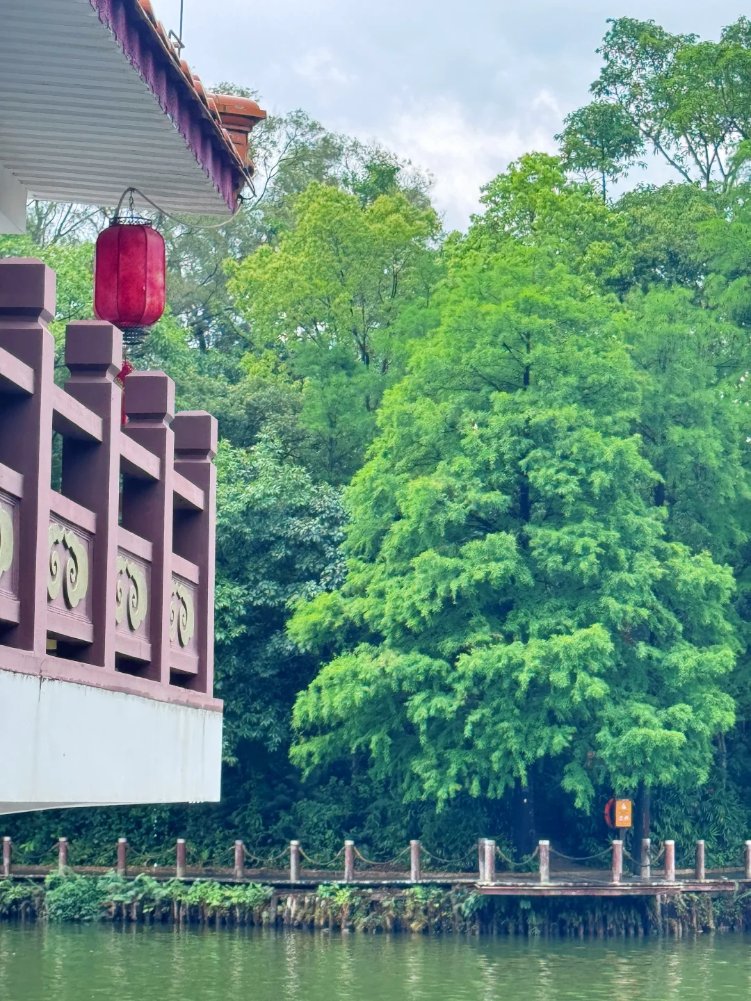 闯入现实版绿野仙踪 | 仙湖植物园🌳