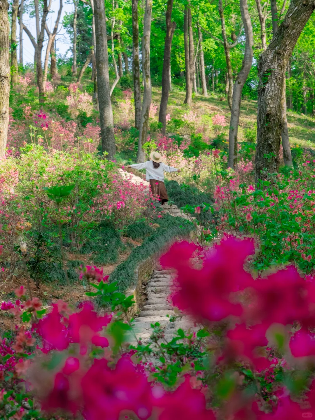 高铁直达，我找到了避世小镇里的江南春色🍃