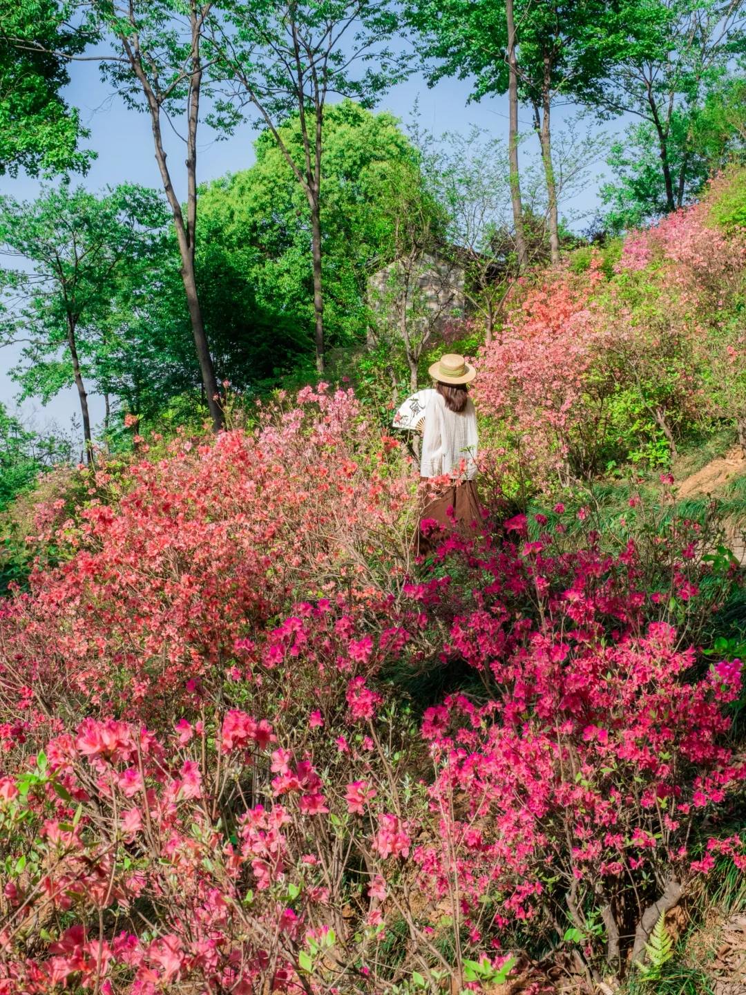 高铁直达，我找到了避世小镇里的江南春色🍃