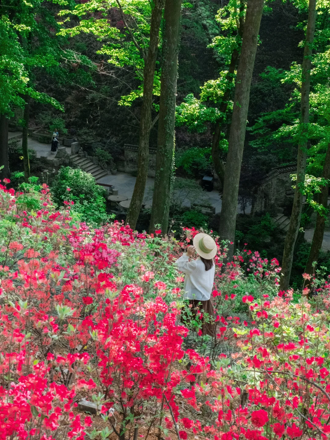 高铁直达，我找到了避世小镇里的江南春色🍃