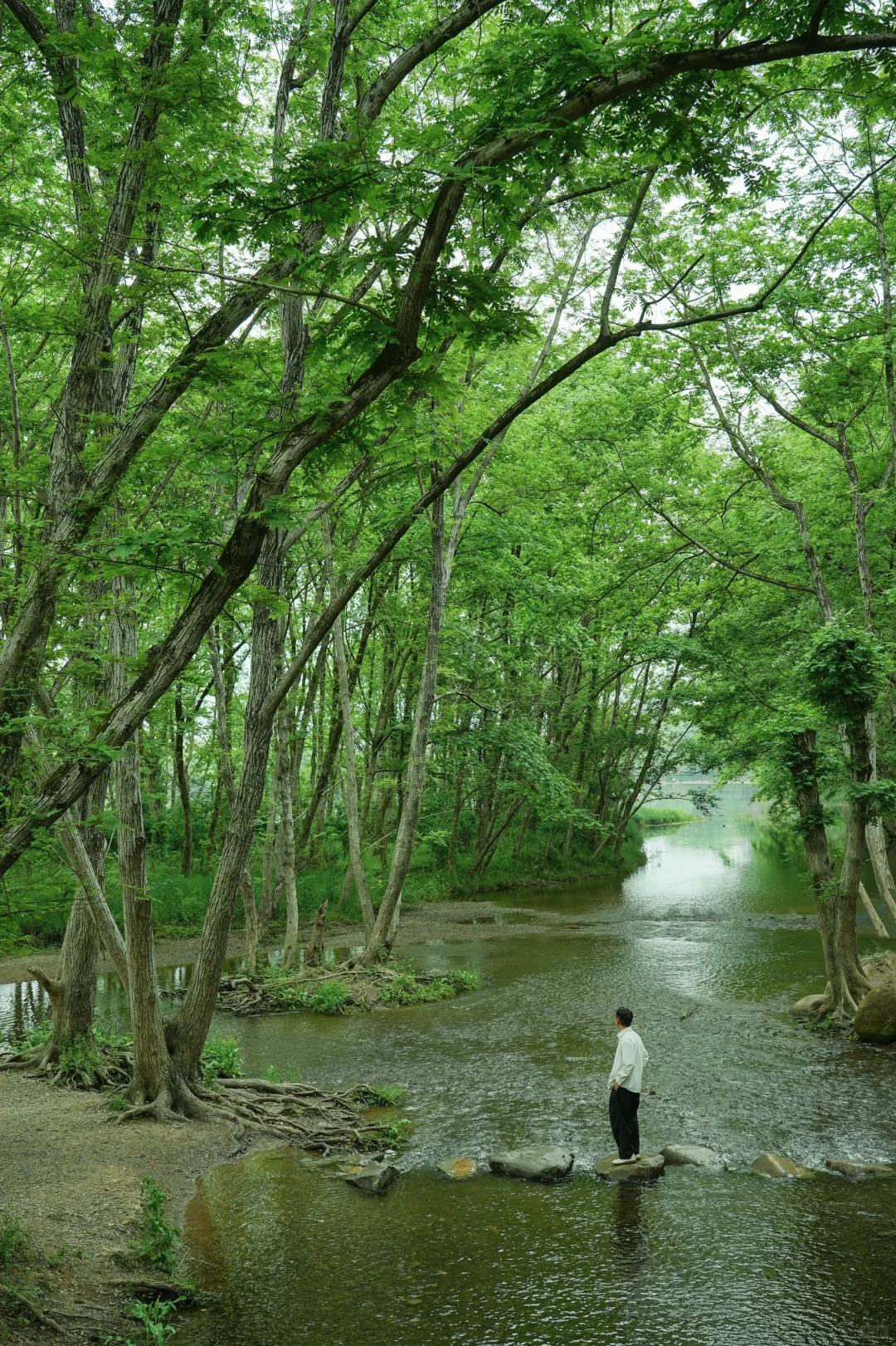 杭州2小时，我在黄山乡村找到了久违的松弛🍃
