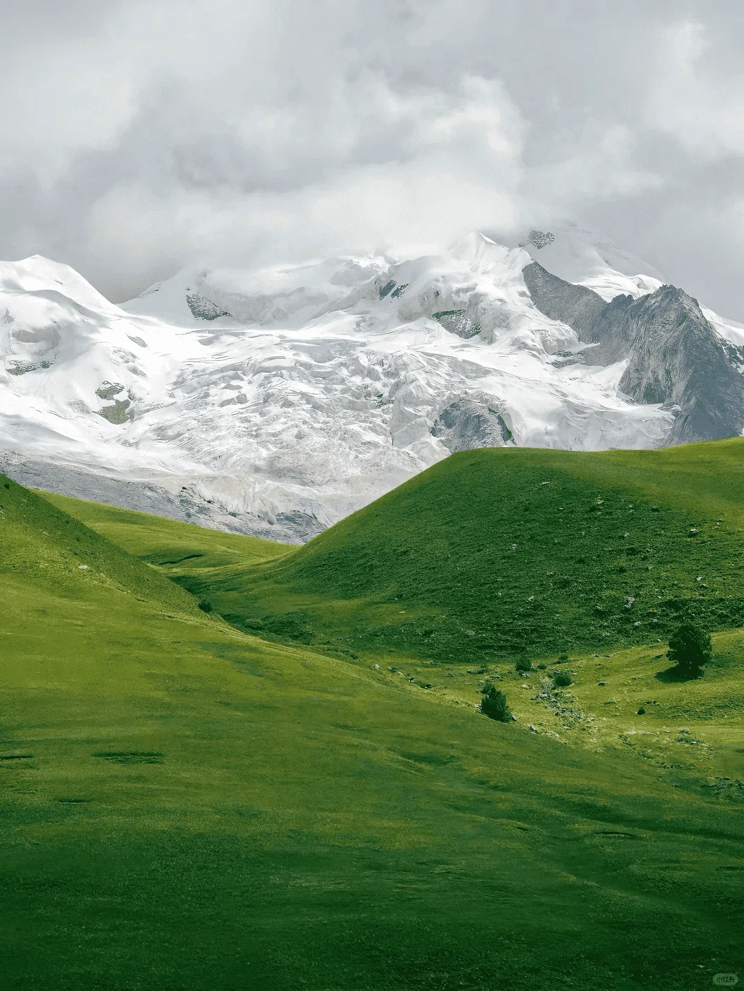 这里不是新疆！是川西顶级秘境—格聂