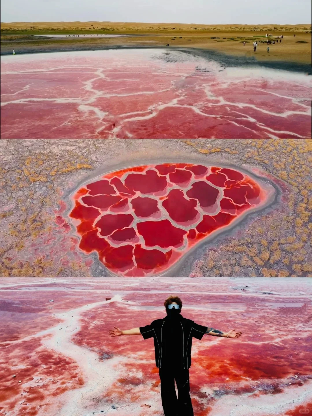 看了再见爱人4，想立刻飞去内蒙古😭