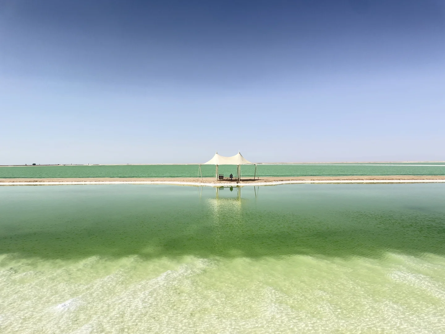 我们的青甘大环线完美落幕～