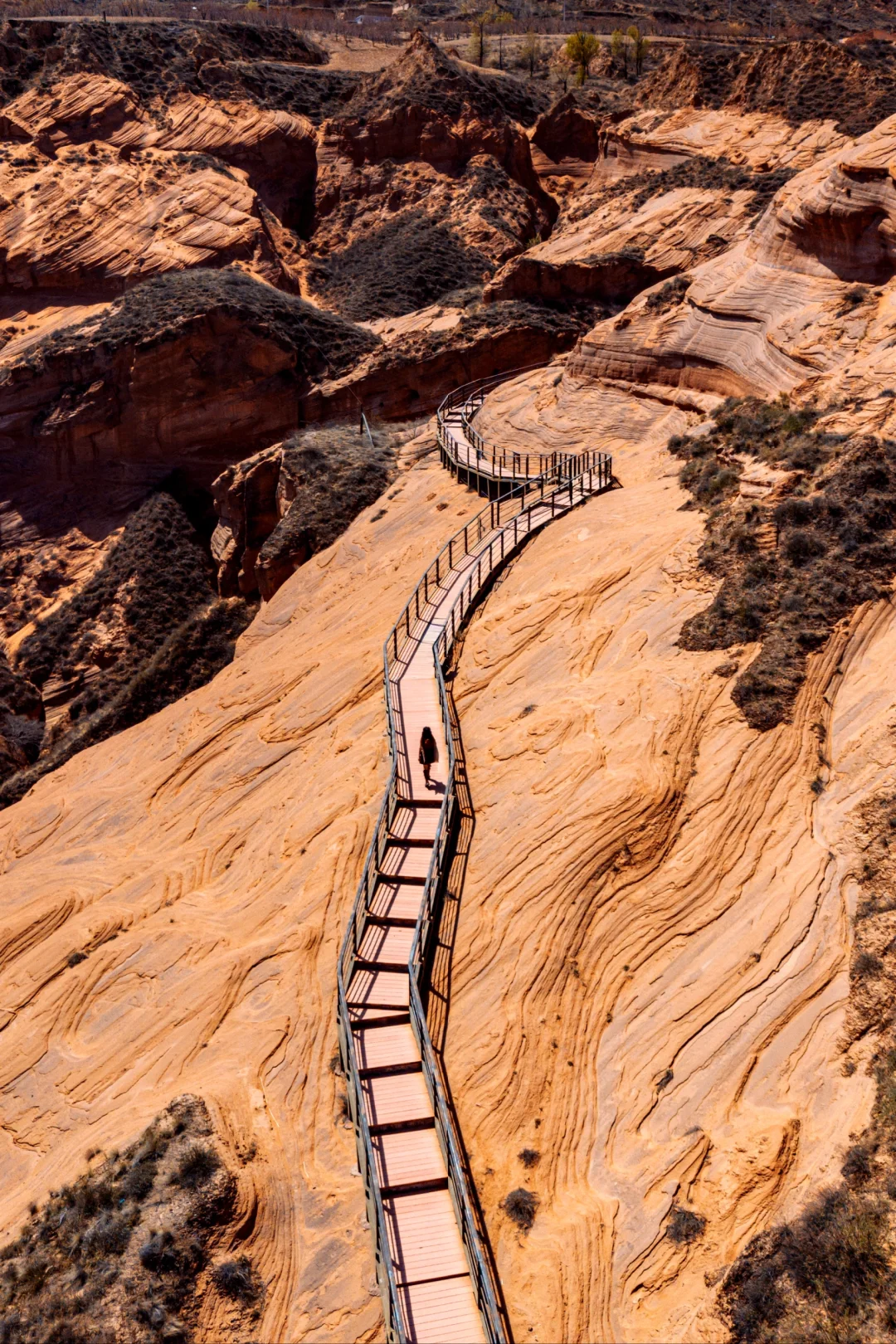 真的没有在美国，被眼前的一幕震撼到了...