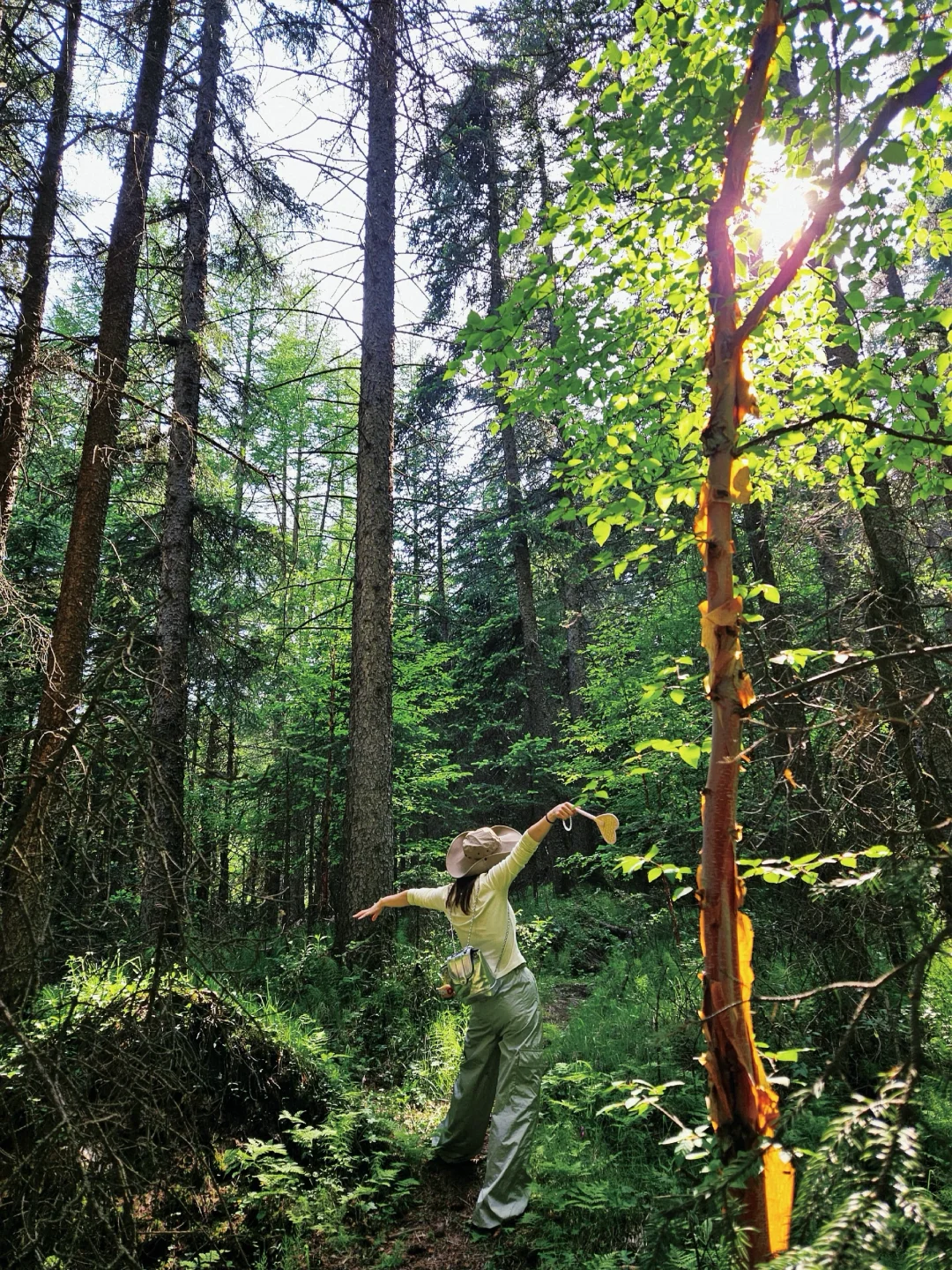 接下来的山西，一定会刷新你的想象…（合集版）