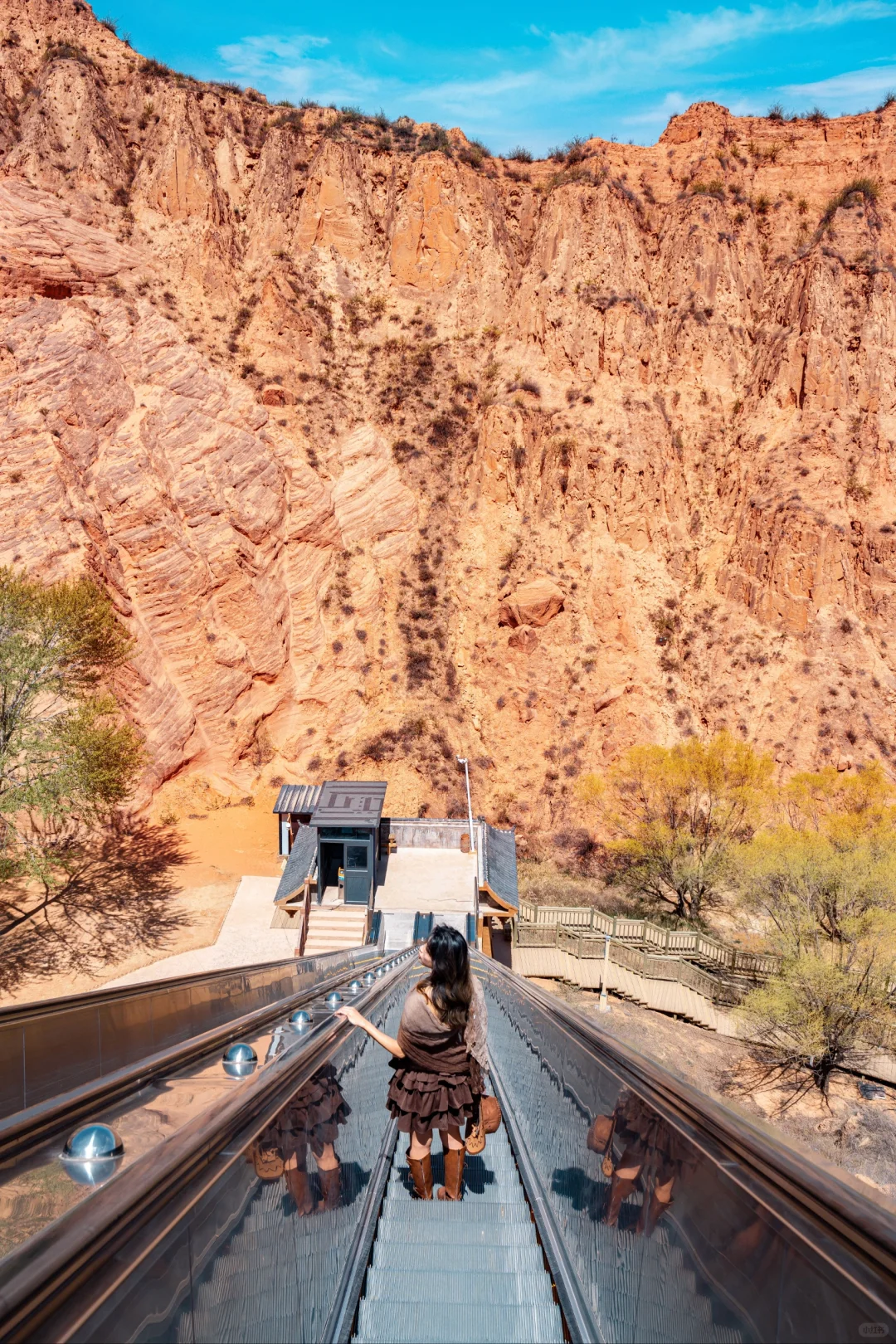 真的没有在美国，被眼前的一幕震撼到了...