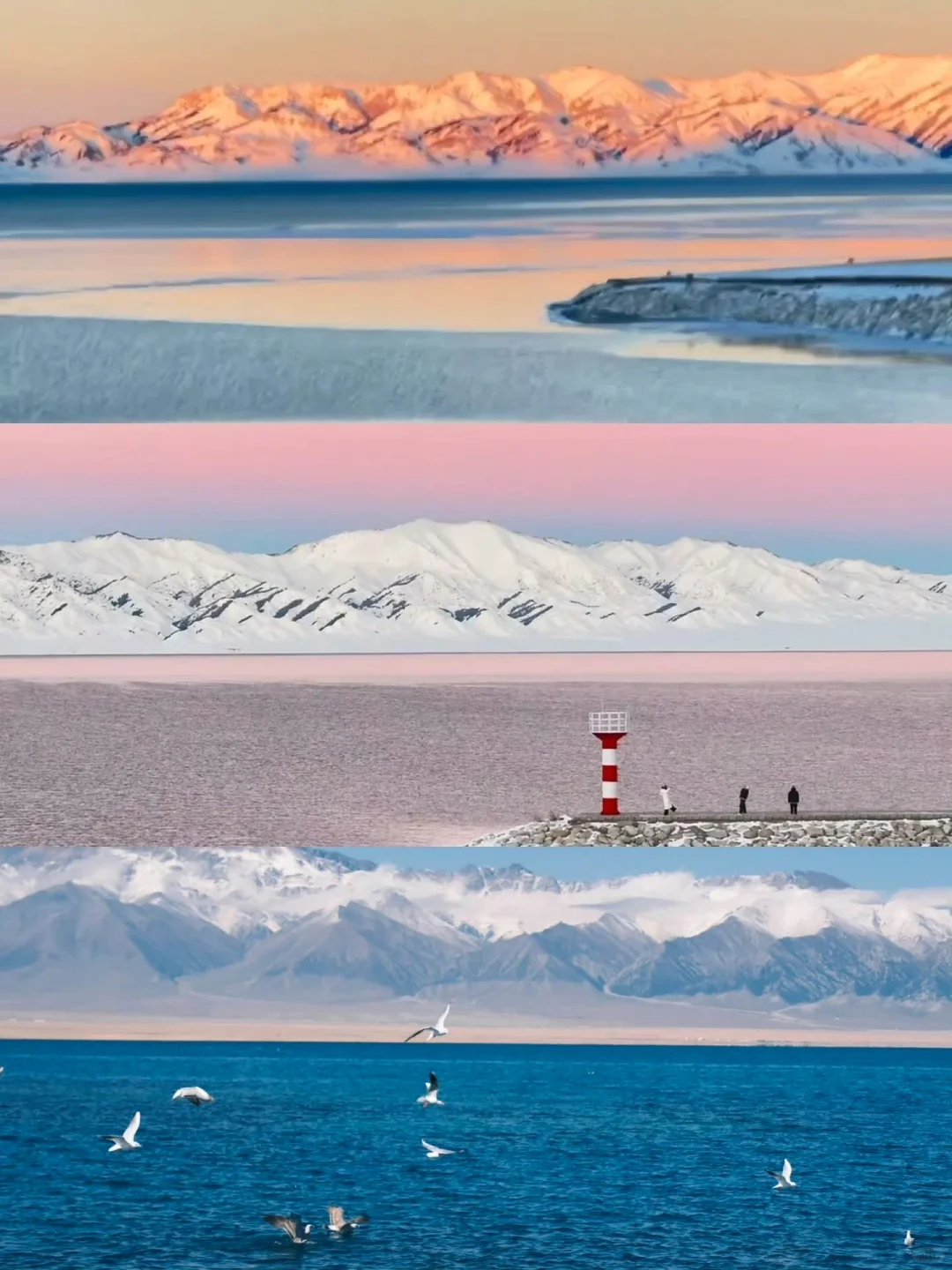 4.18📍赛里木湖live，豪赌成功，劝退不了一点