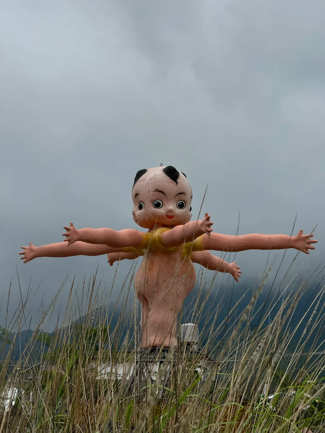 谁还不知道丽江有这么个神奇的地方啊