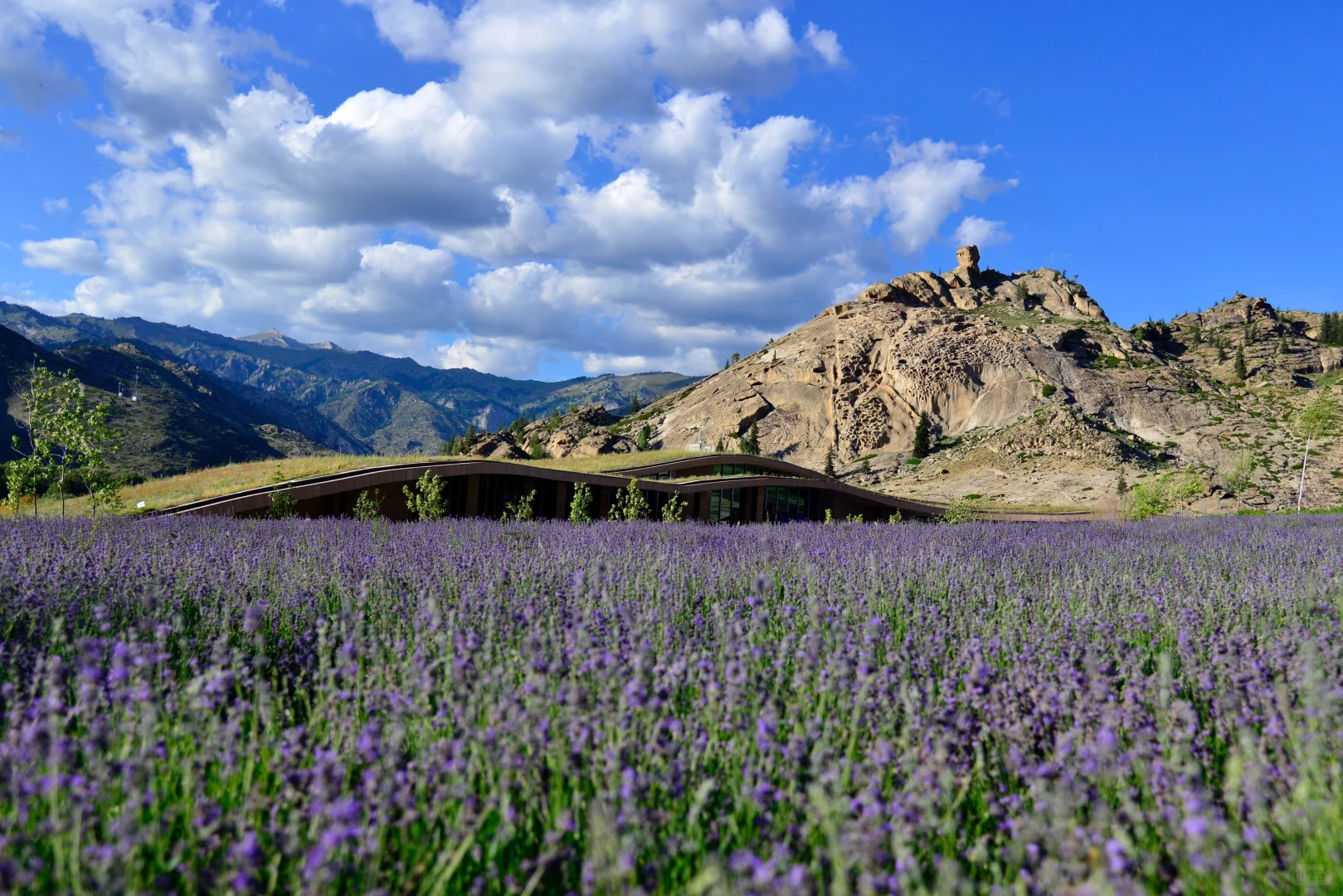 北疆攻略｜可可托海景区4月15日开园啦！