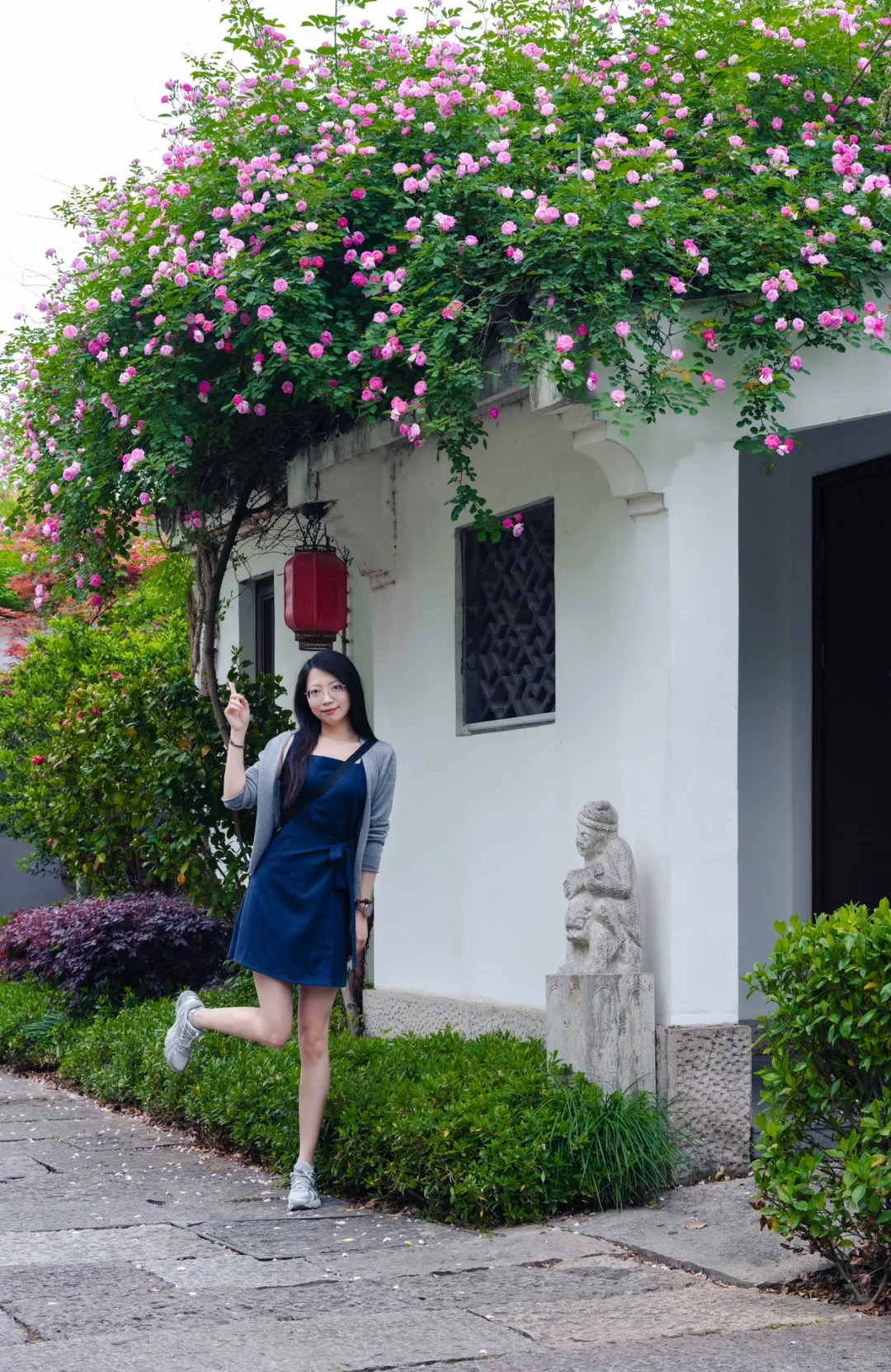 实拍，绍兴这个4000年古村，蔷薇花墙已上线