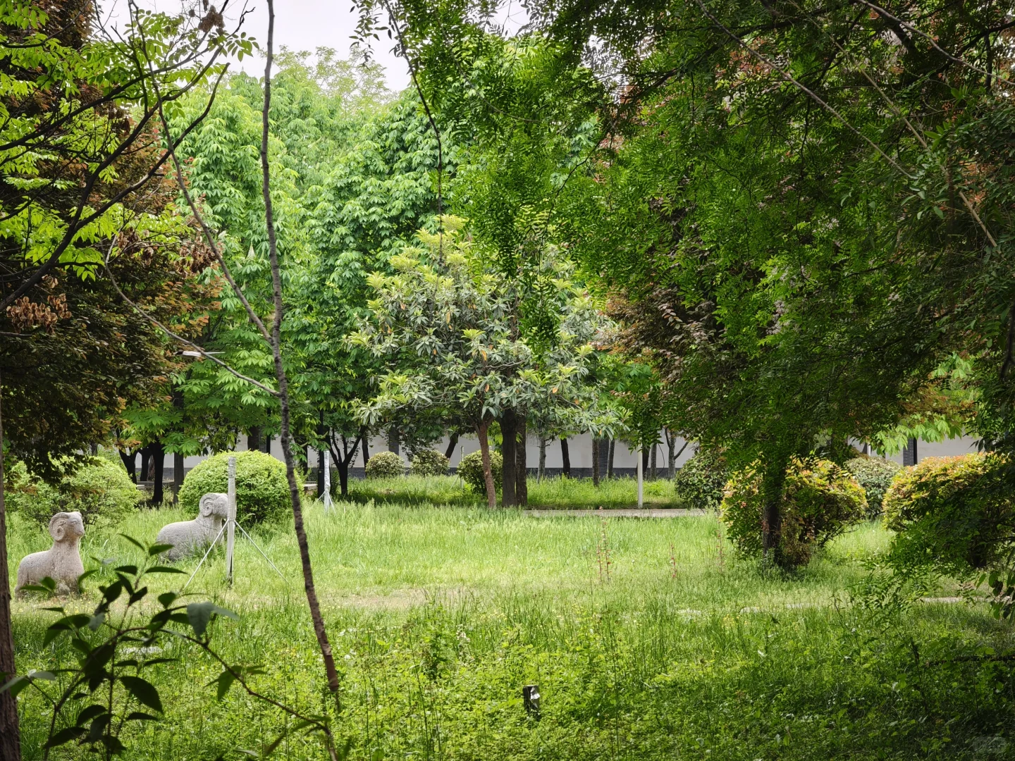 高陵_区博物馆与昭慧塔