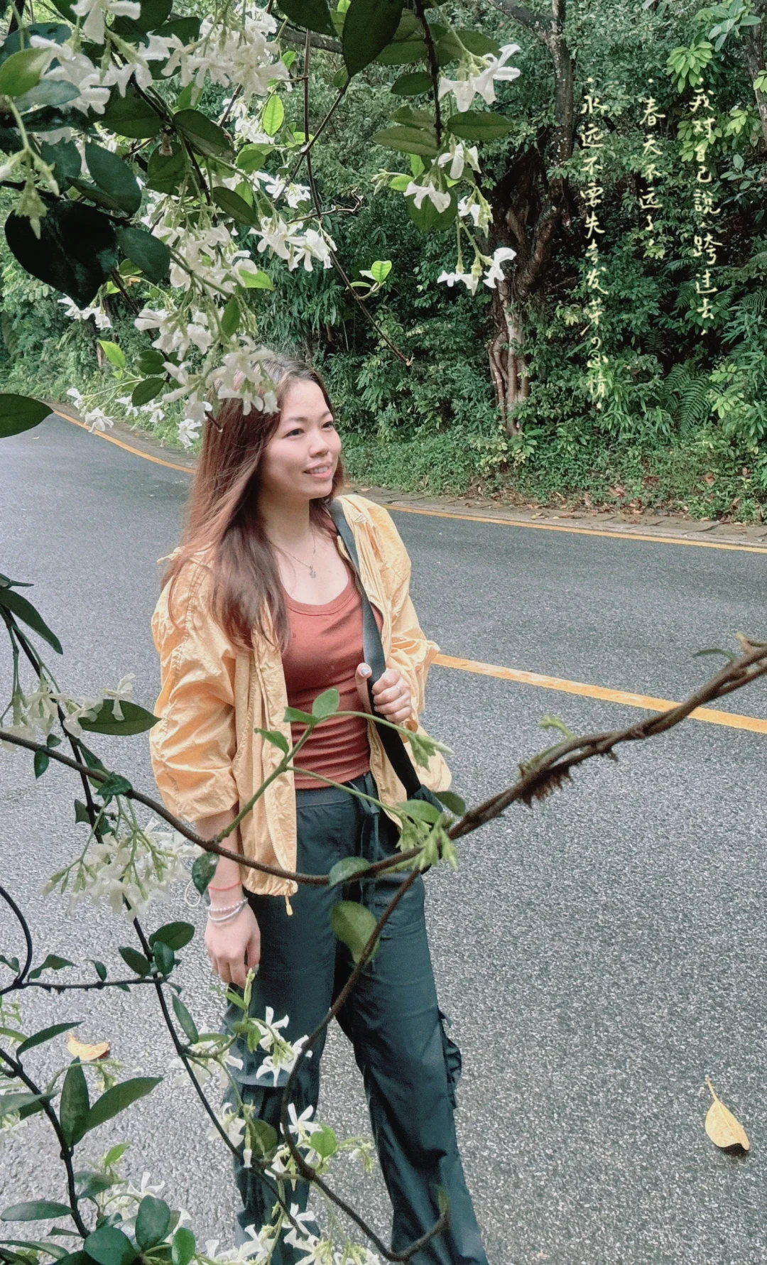 闯入现实版绿野仙踪 | 仙湖植物园🌳