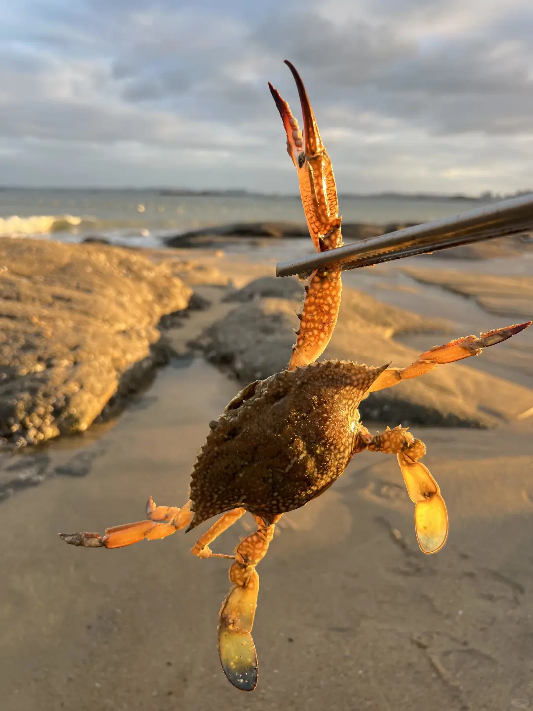 看这里‼️日照3天2晚必去的8个景点