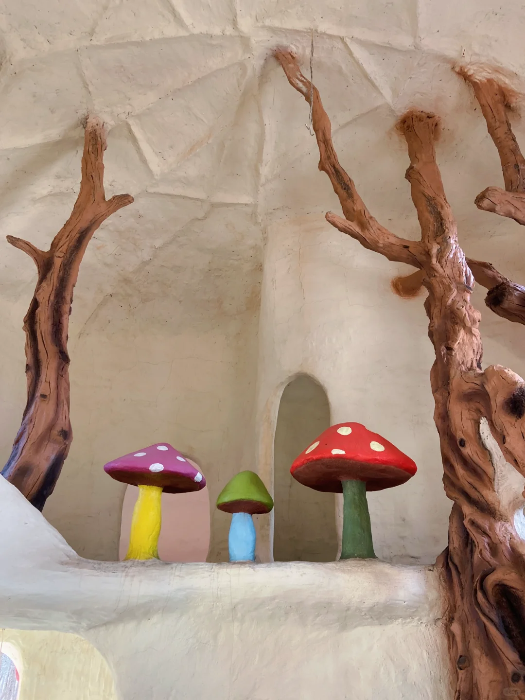 超令人难忘的景点一七彩森林 🌳