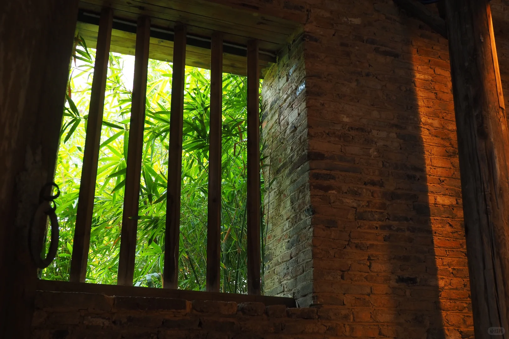 奥林巴斯扫街 陶阳里