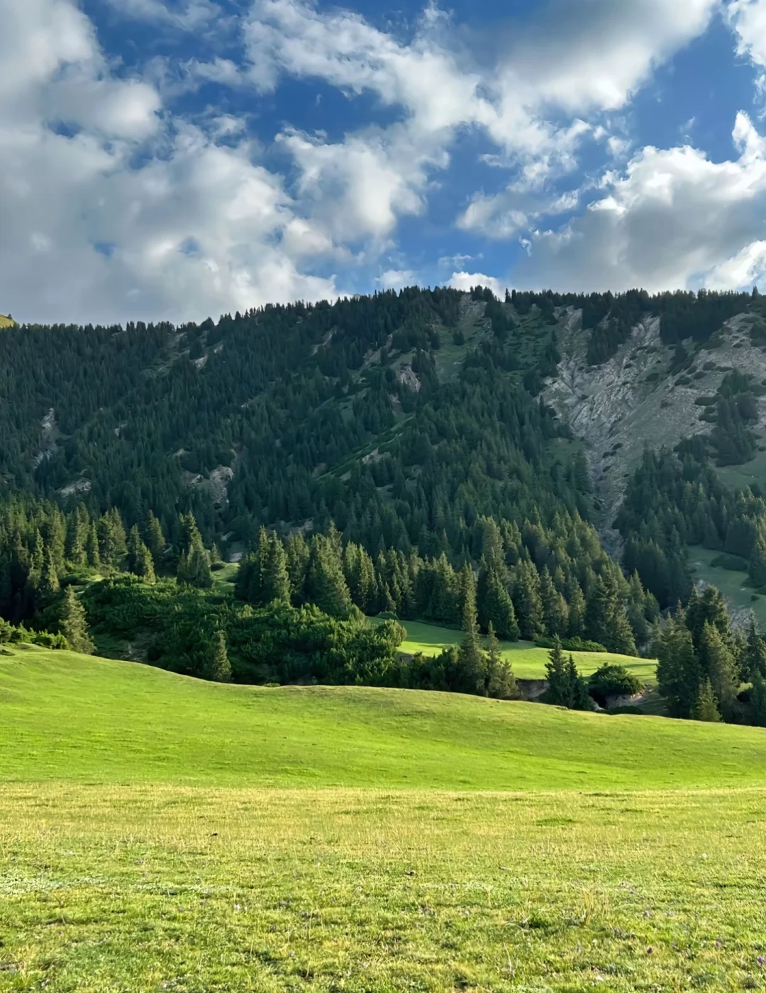 这是我去过zui冷门的地方，我很怕它火……