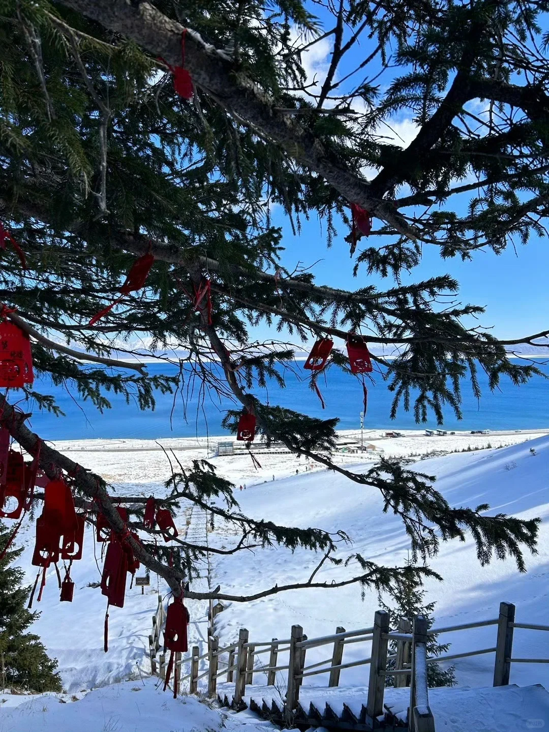 4.18📍赛里木湖live，豪赌成功，劝退不了一点