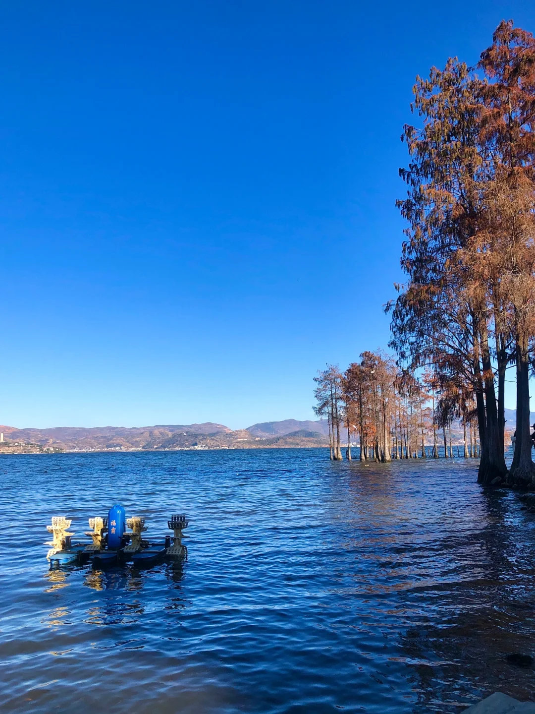 云南旅居半个月后发现6天5晚游云南1500真的