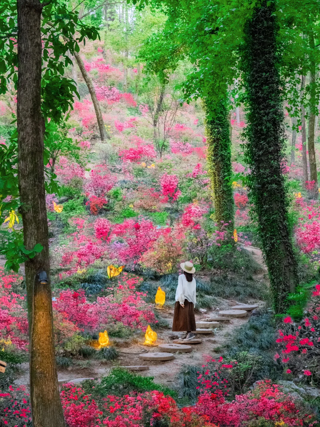 高铁直达，我找到了避世小镇里的江南春色🍃