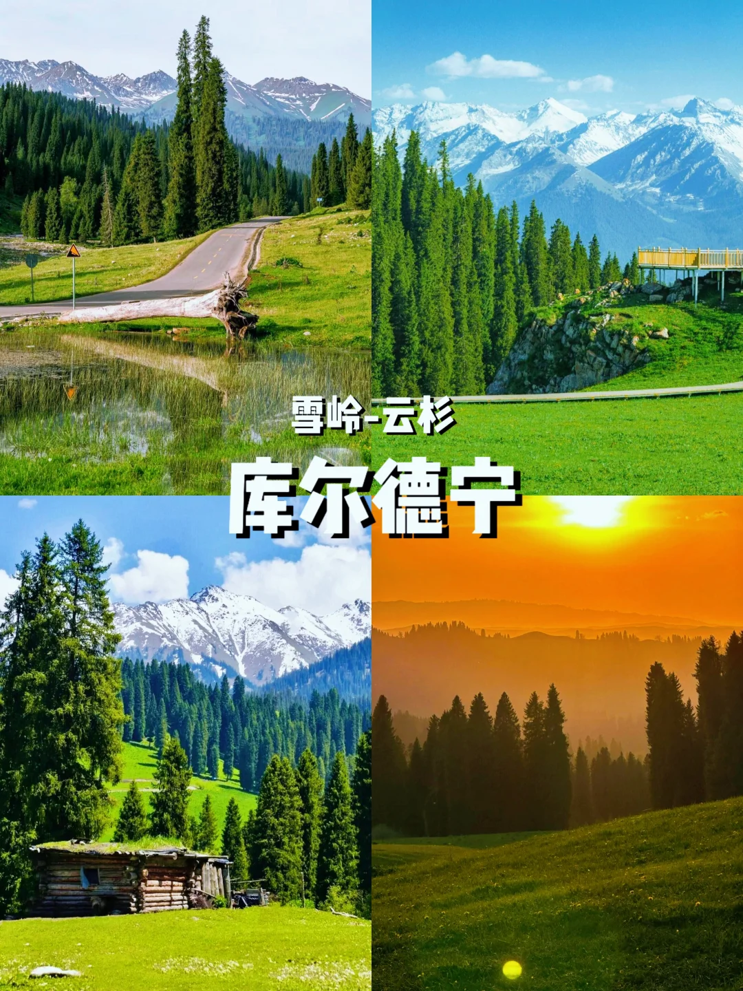 五一错峰游新疆！5月草原初醒，独享雪山