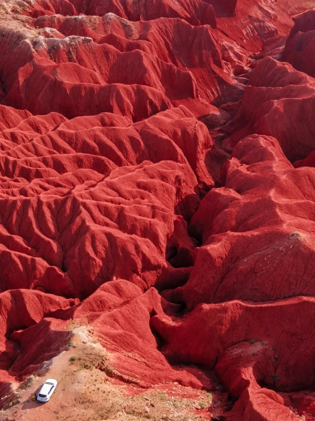 看了再见爱人4，想立刻飞去内蒙古😭