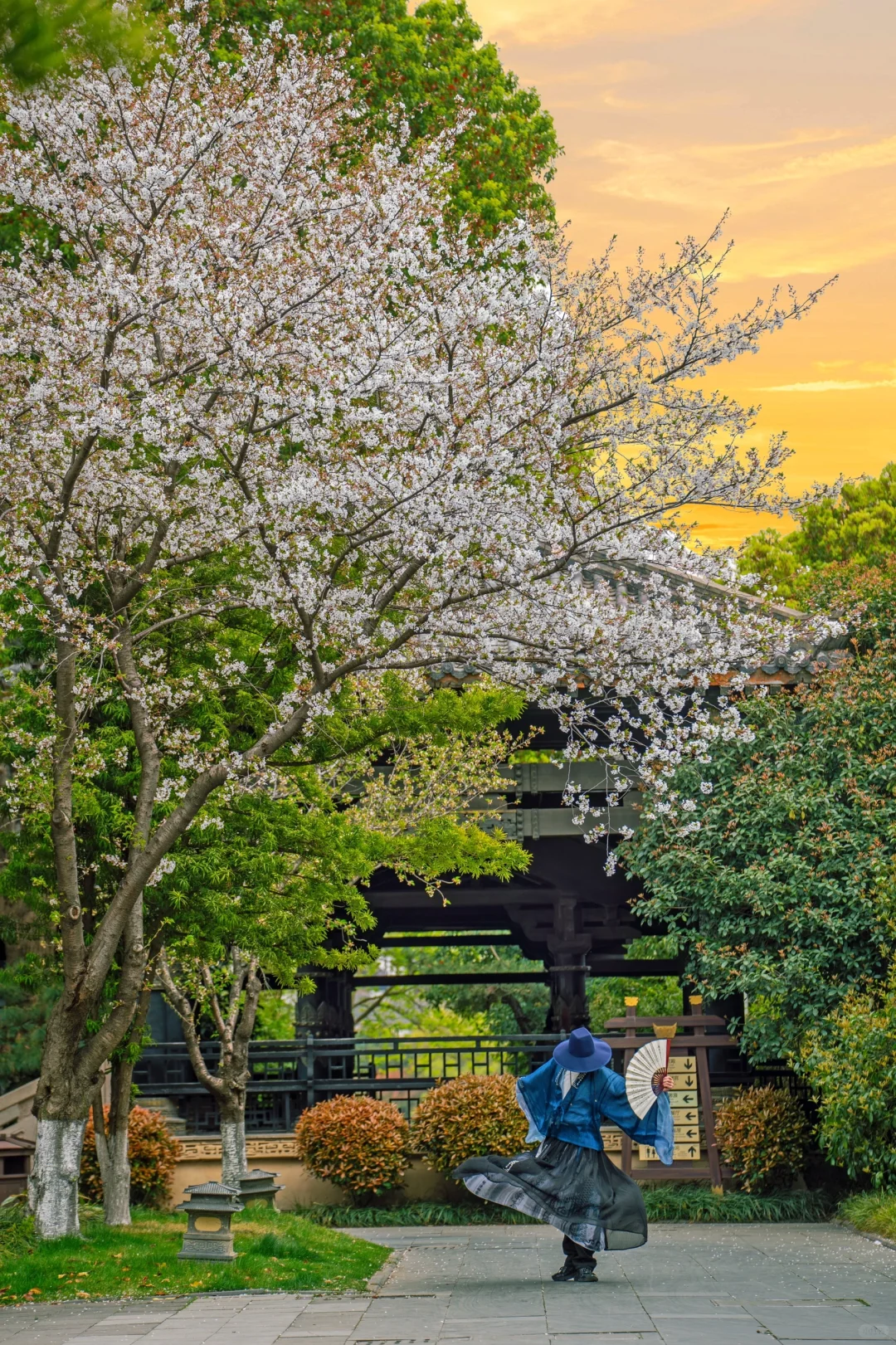 浪漫疯了❗️十万玫瑰峡谷‼️真的好震撼🥀
