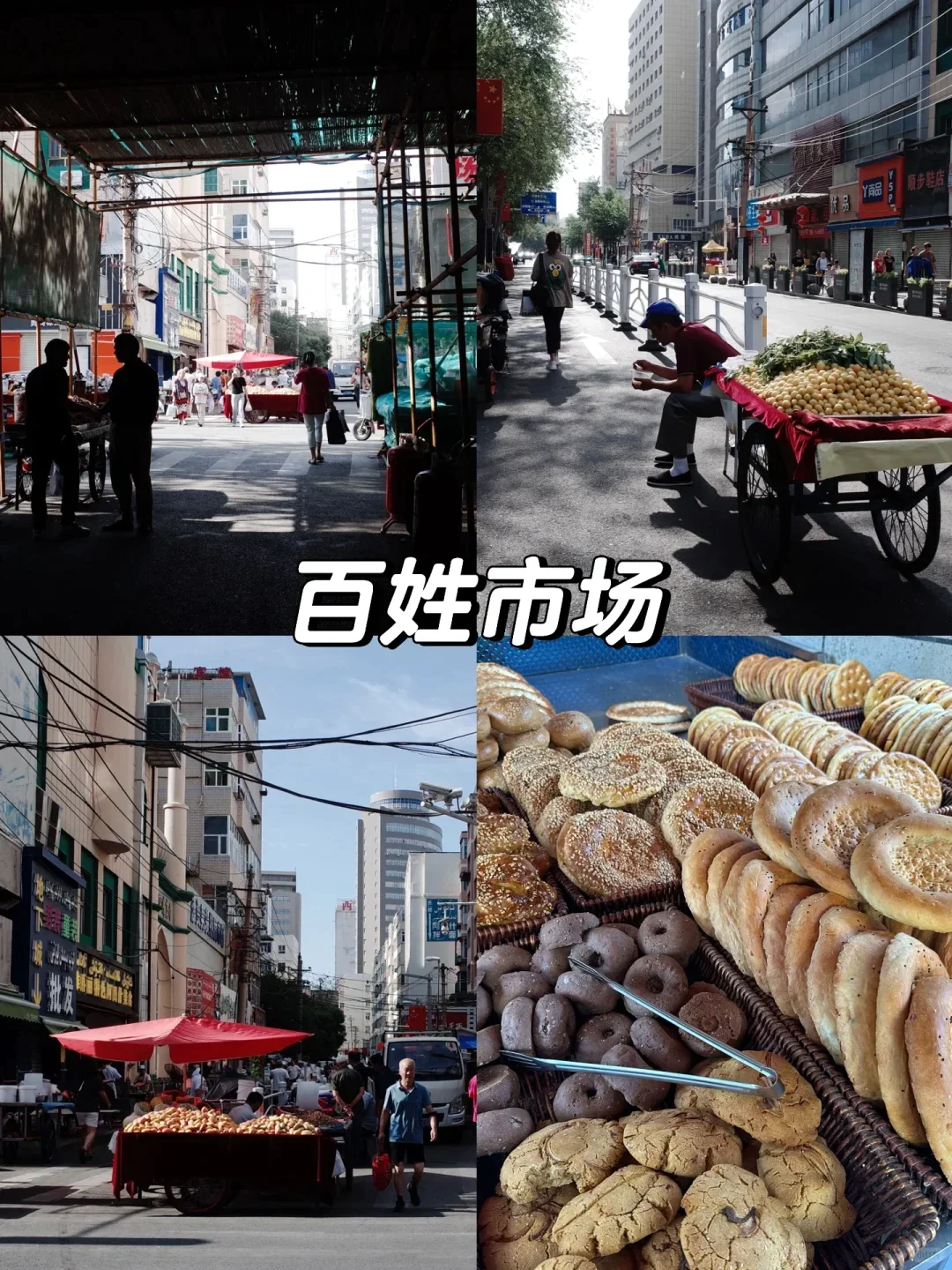 五一错峰游新疆！5月草原初醒，独享雪山