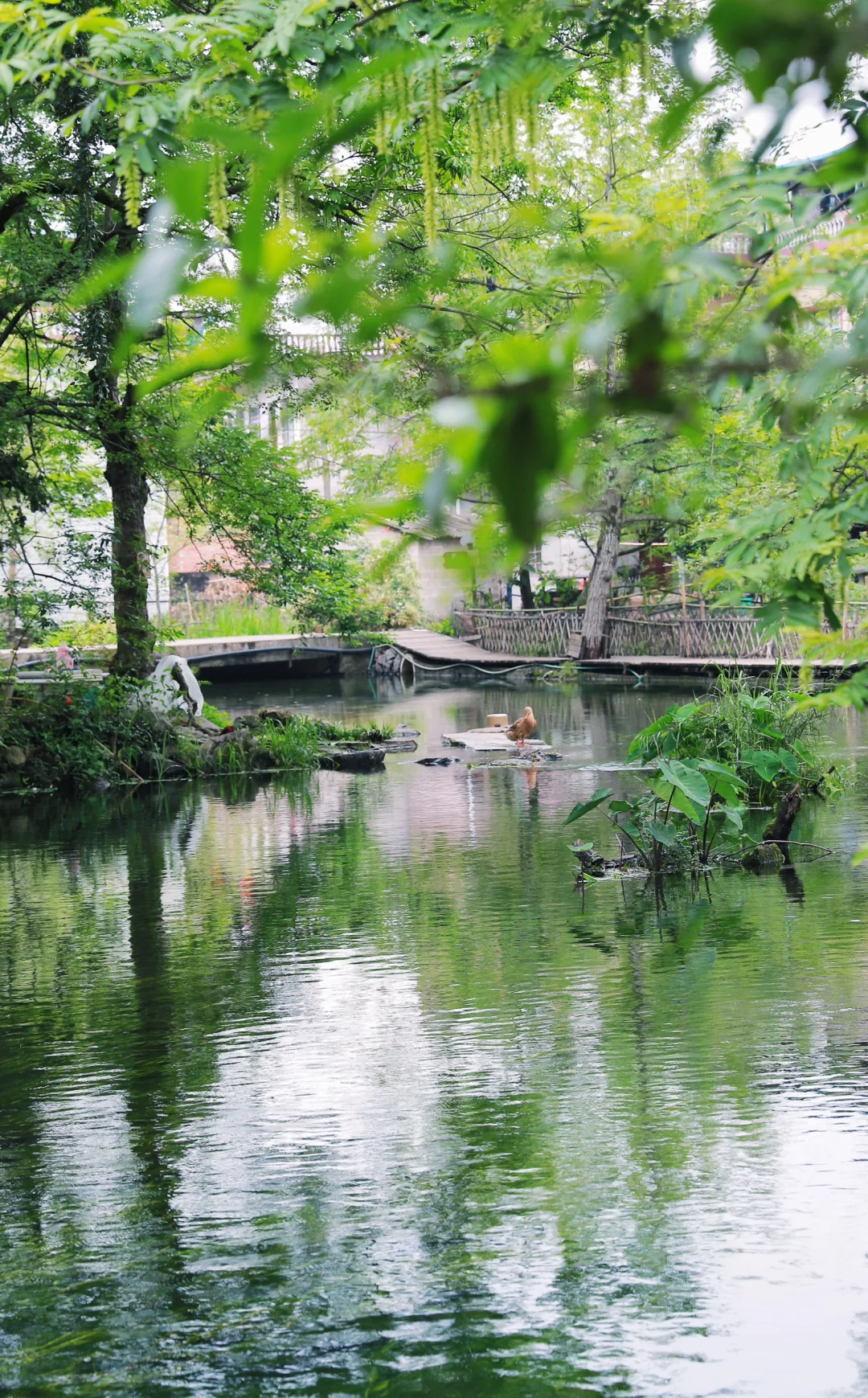 桂林周边游｜安和龙井村