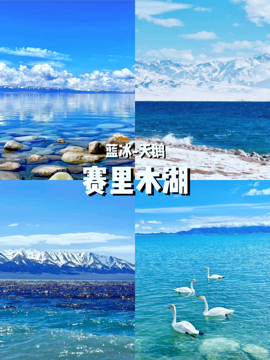 五一错峰游新疆！5月草原初醒，独享雪山