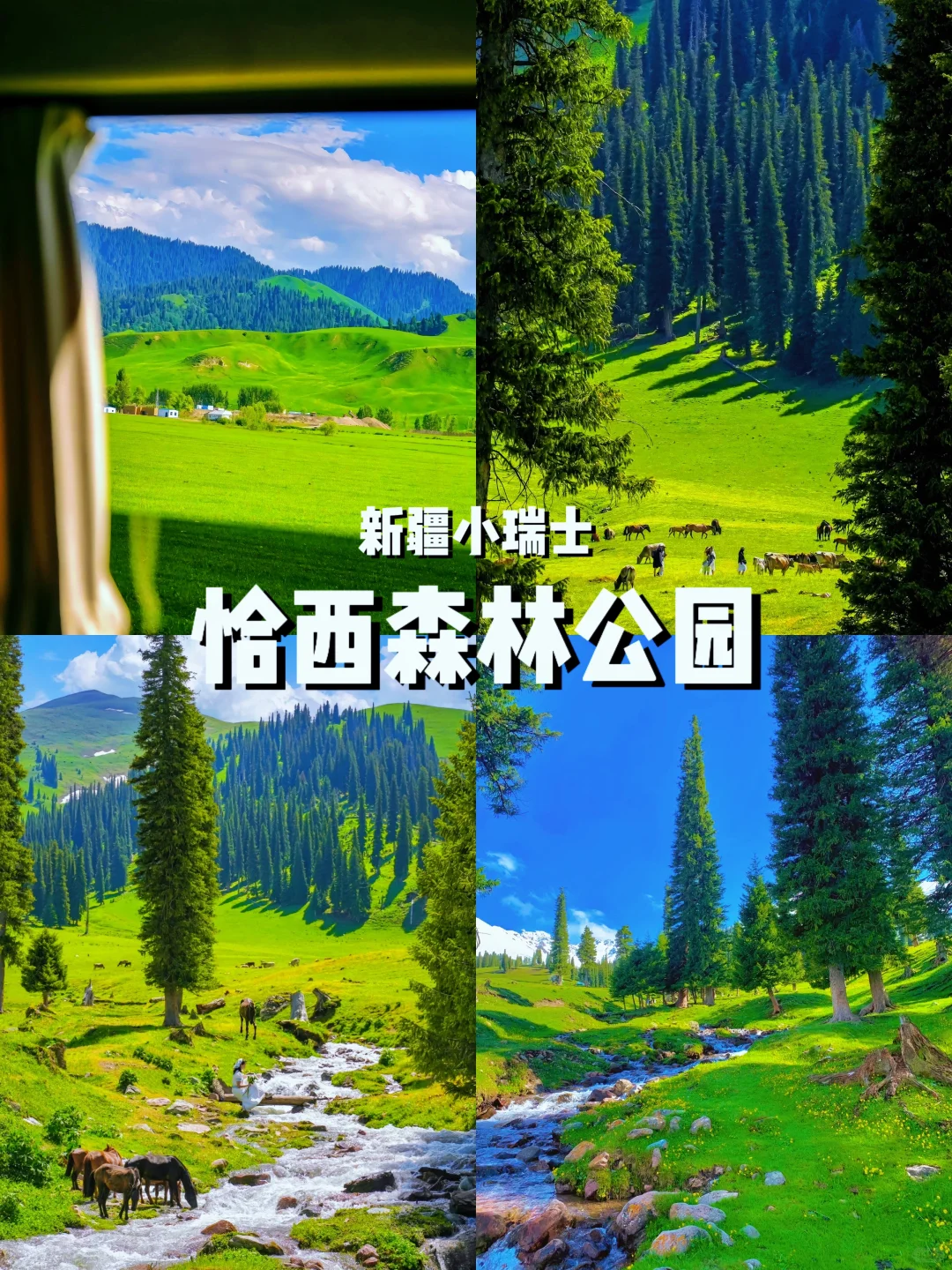 五一错峰游新疆！5月草原初醒，独享雪山