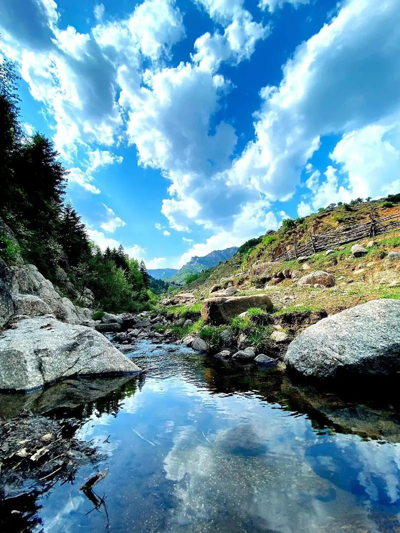 🌄山西芦芽山超全旅行攻略｜闯入人间仙境