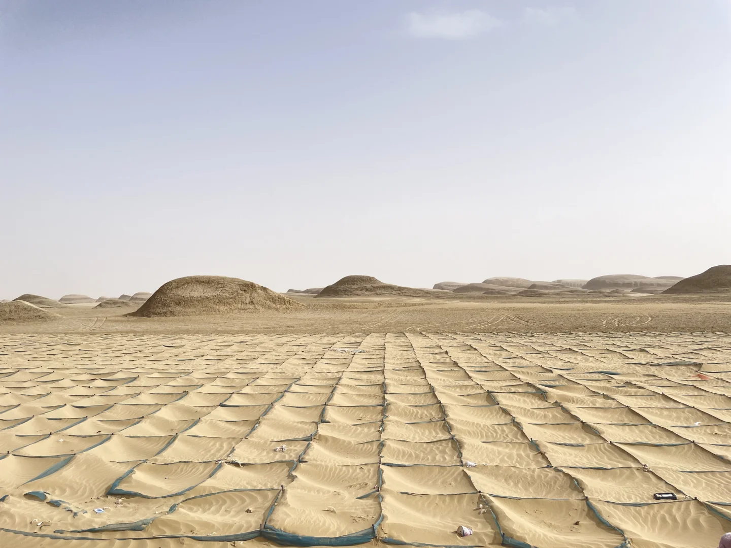 我们的青甘大环线完美落幕～