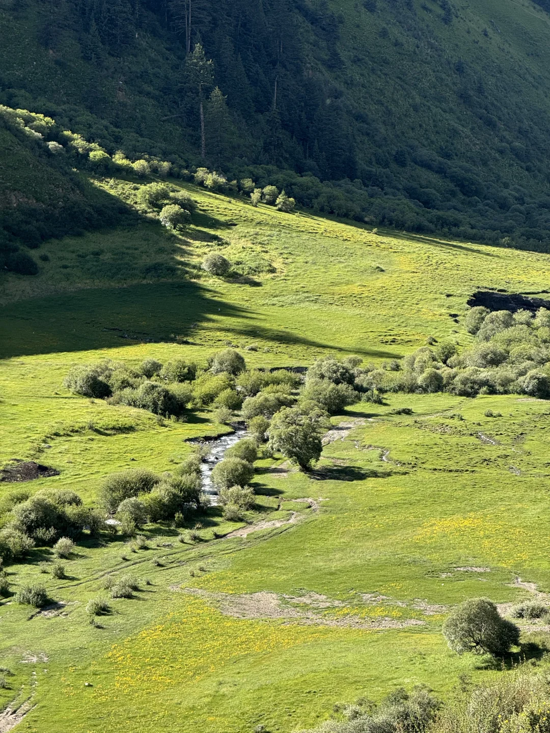 我很少用震撼形容一个地方！！（live）