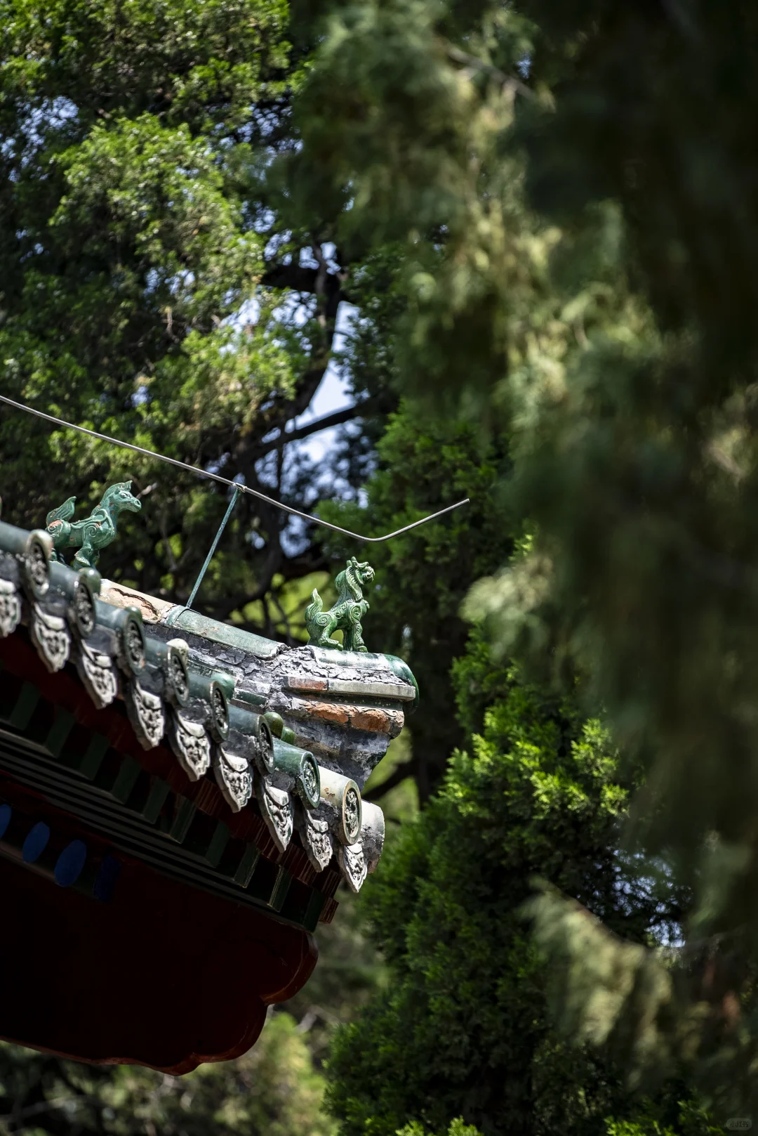 去景区加班之又来拍孔庙了