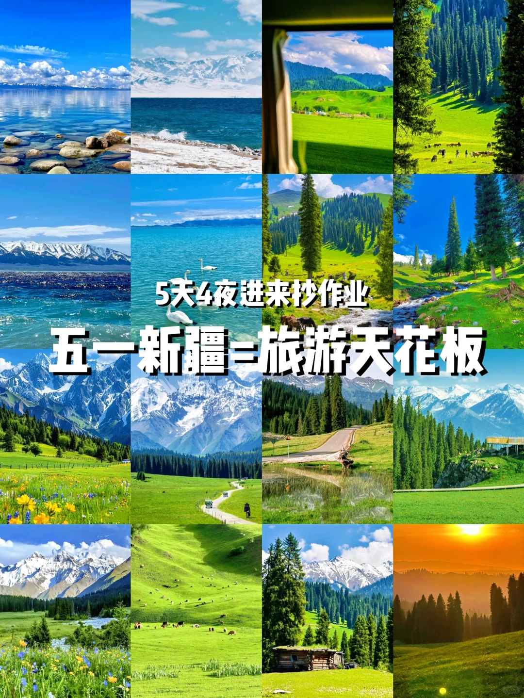 五一错峰游新疆！5月草原初醒，独享雪山