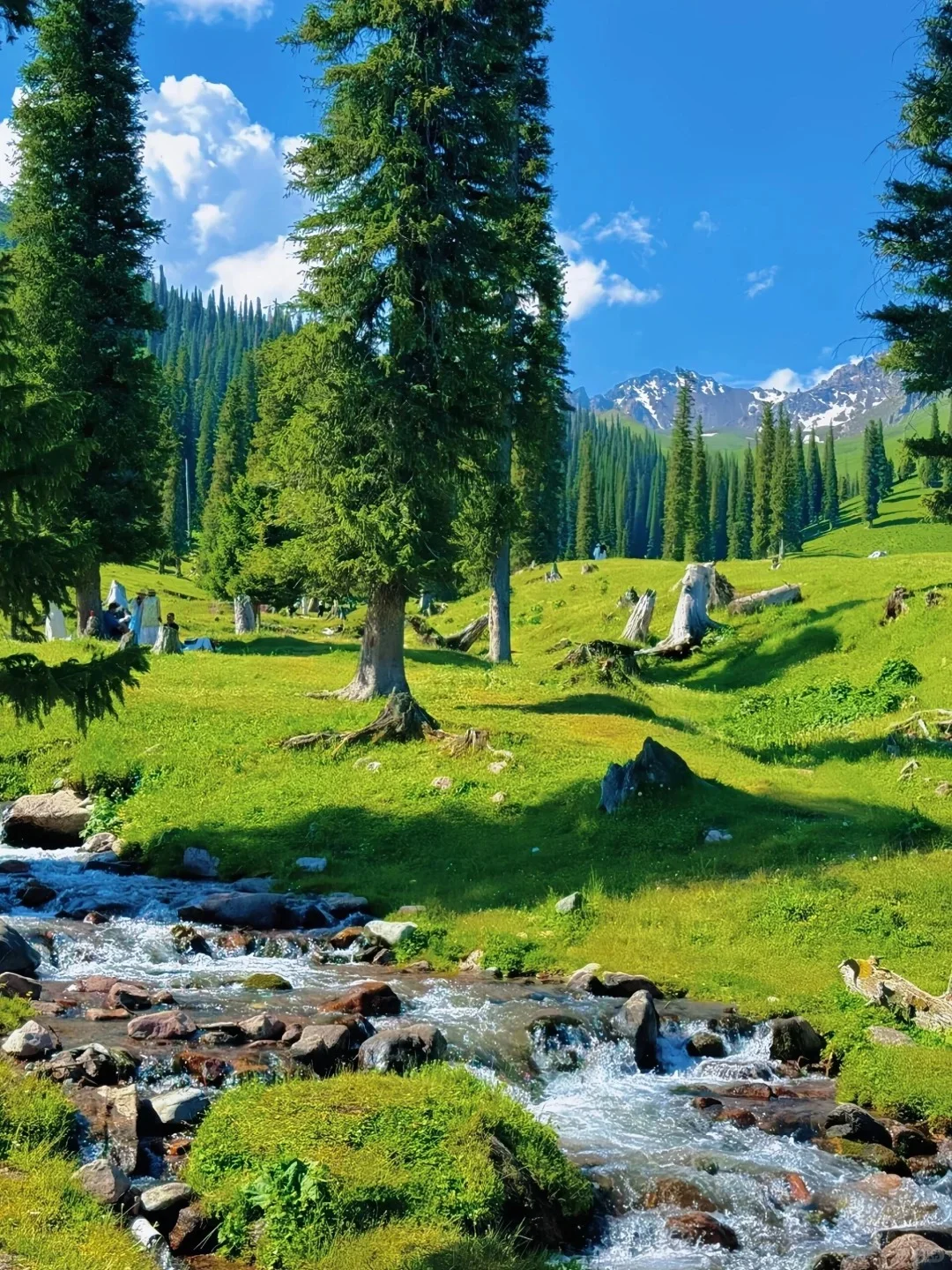 不纠结瑞士，北疆散心一样惊艳你的全世界