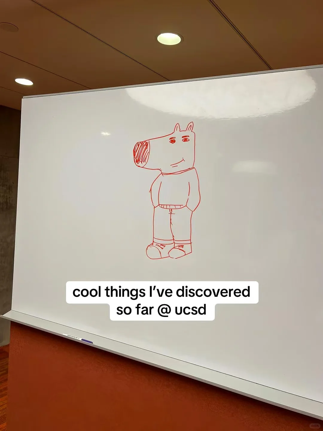 圣地亚哥👬UCSD好玩的事情可以是——