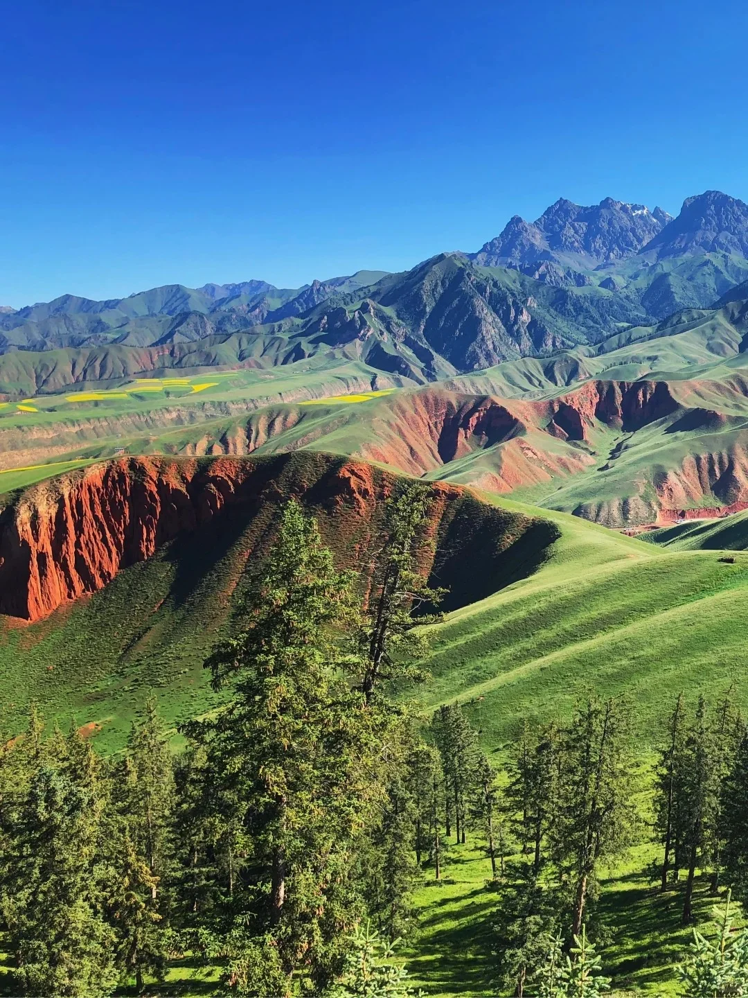 🌟【青海】遇见大西北的治愈浪漫