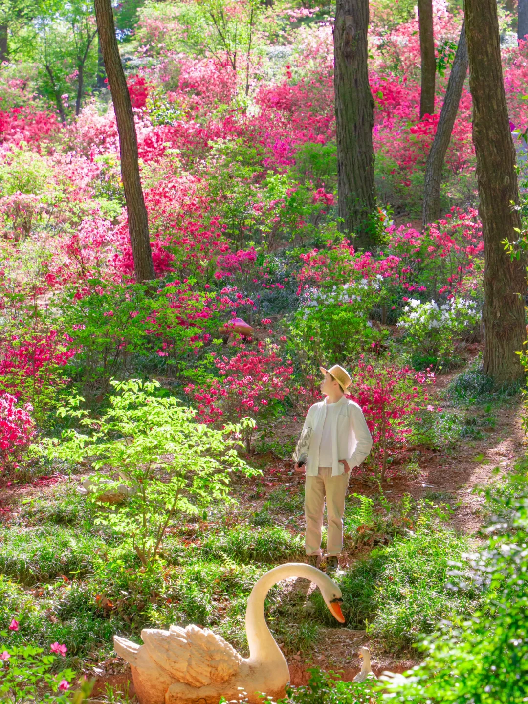 我要反向旅游丨以为宏村已经够美了，直到..