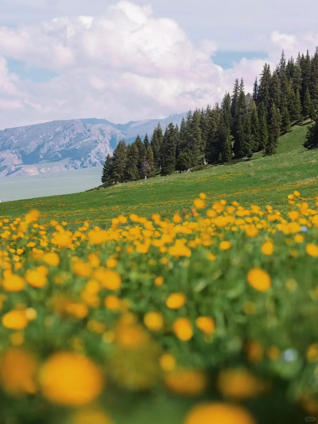 赛里木湖！一眼就被这变幻蓝调勾了魂‼️