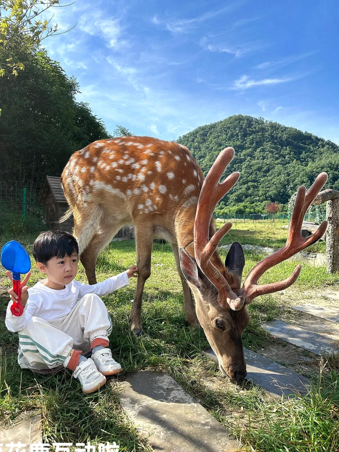 在崇左和恩施之间选择了恩施，冷门带娃绝了