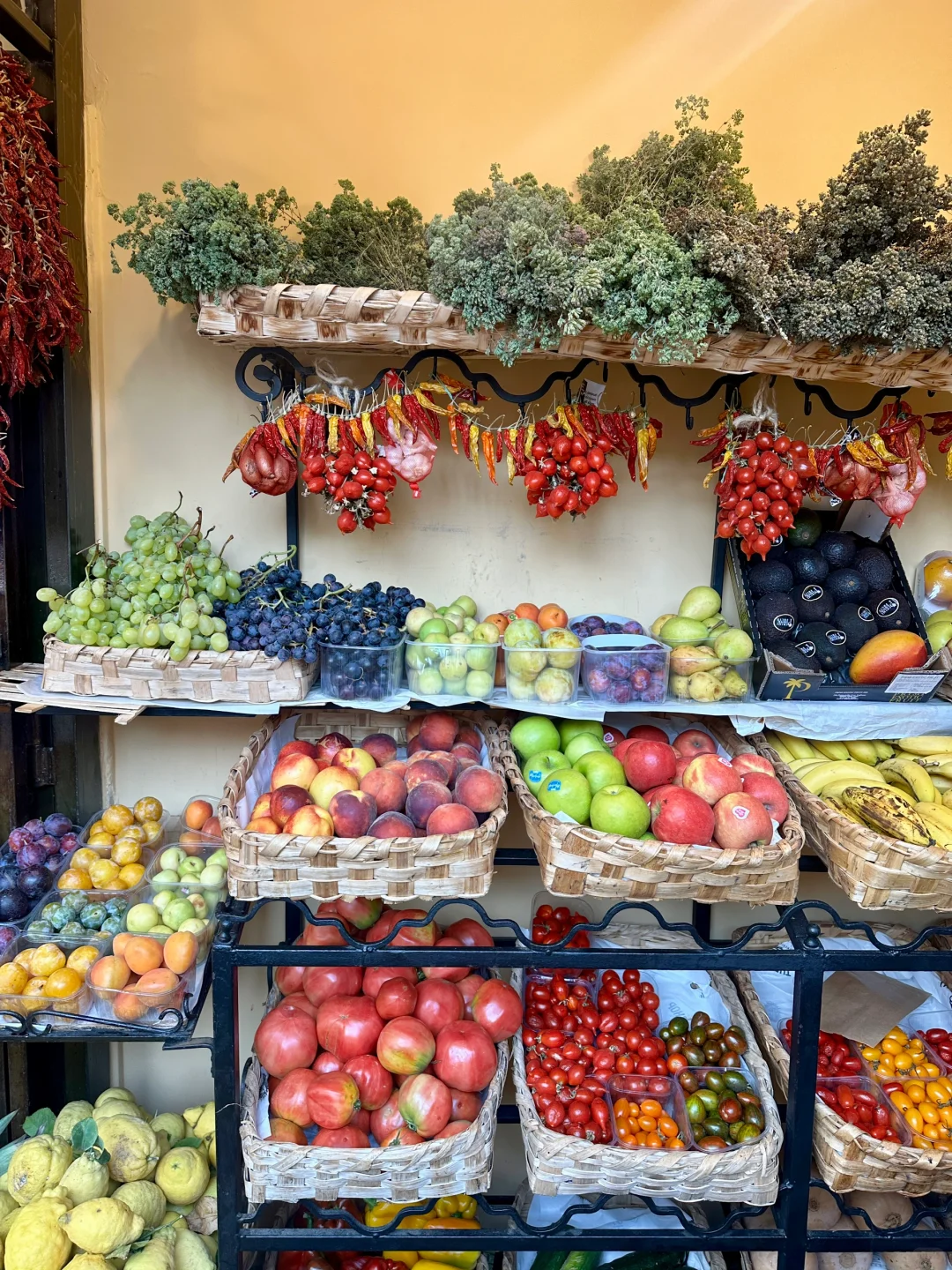 “一些柠檬🍋味的南意夏日回忆…”