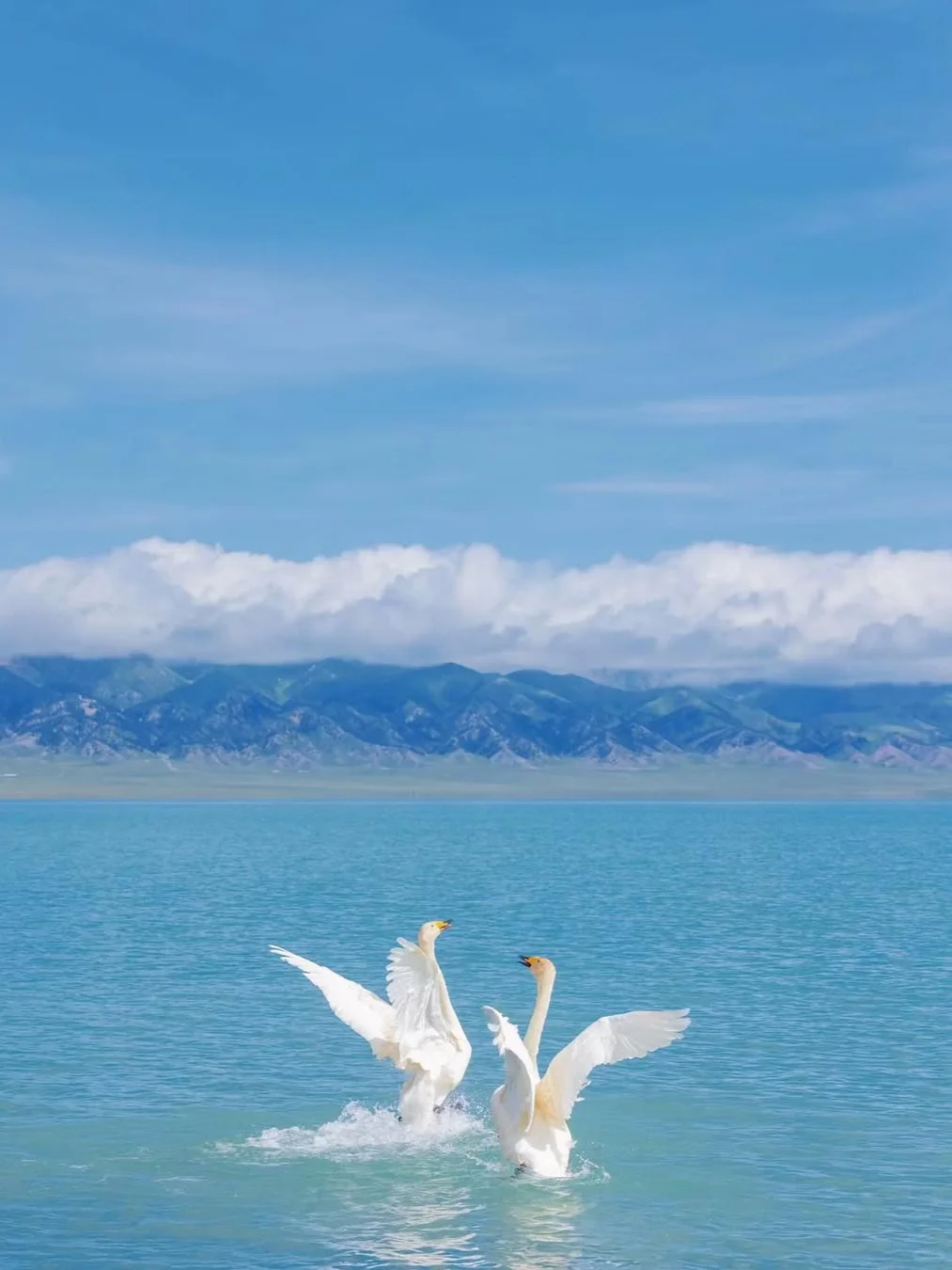 赛里木湖！一眼就被这变幻蓝调勾了魂‼️