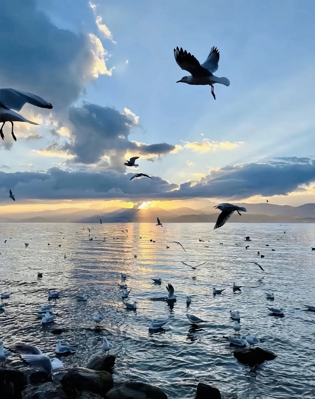 03女大📍大理/三天二夜精华版旅游攻略❗️