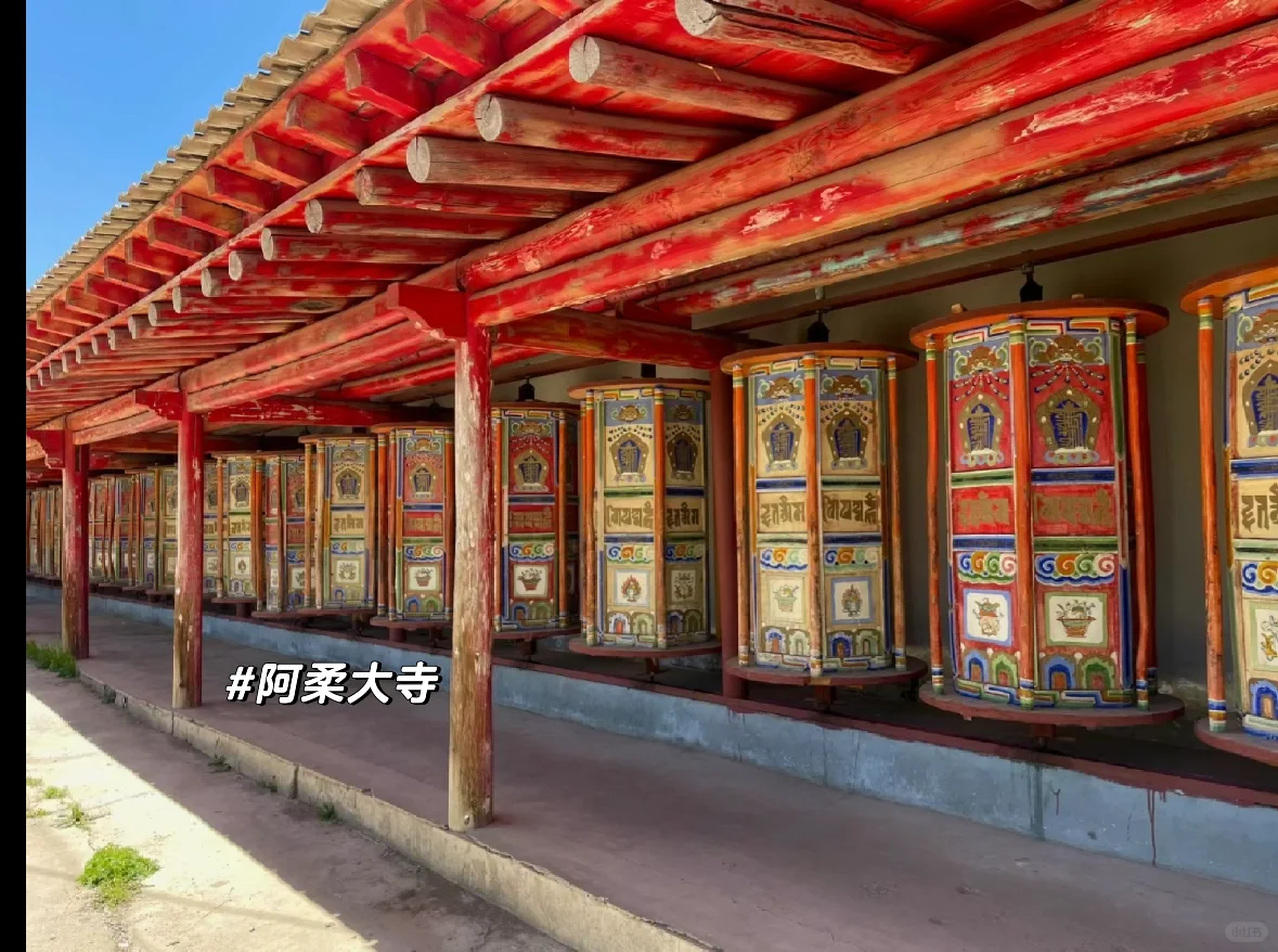 4-8月旅游就去青甘环线🌈