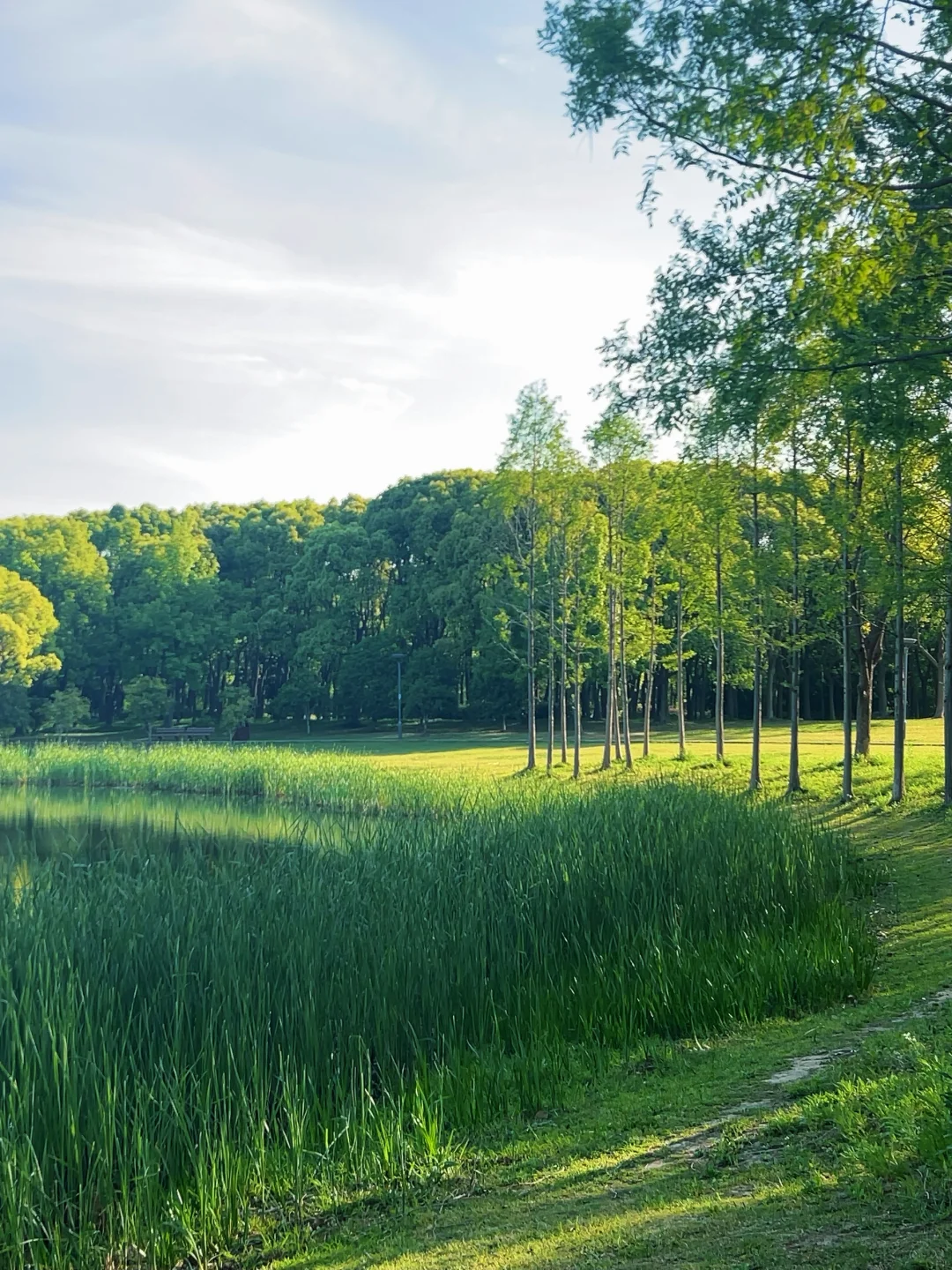 在无锡📍没有天花板的地方感受春天